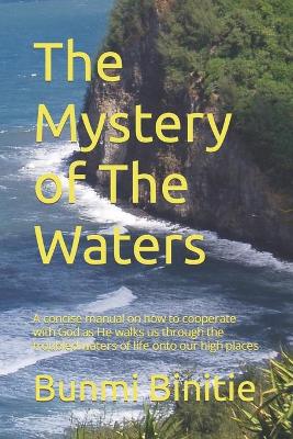 Book cover for The Mystery of The Waters