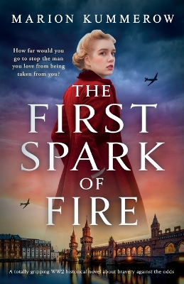 Book cover for The First Spark of Fire