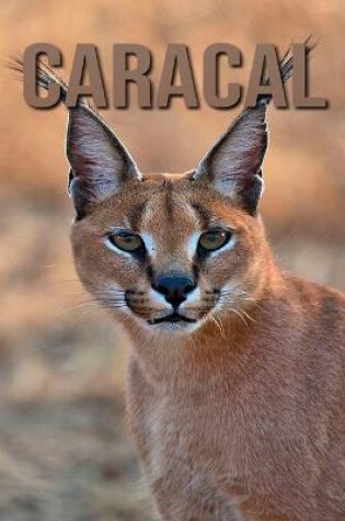 Cover of Caracal