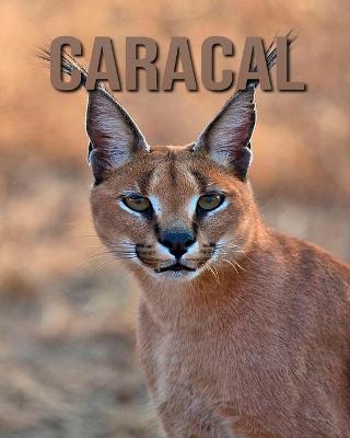 Book cover for Caracal