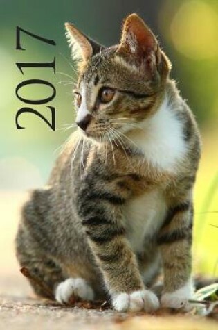 Cover of Cats Diary 2017