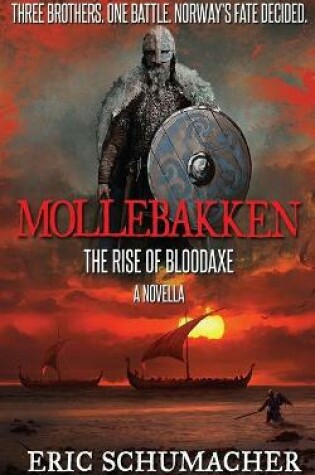 Cover of Mollebakken - A Viking Age Novella