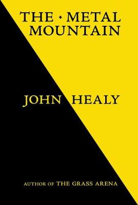 Book cover for The Metal Mountain