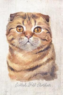 Cover of Scottish Fold Shorthair Cat Portrait Notebook