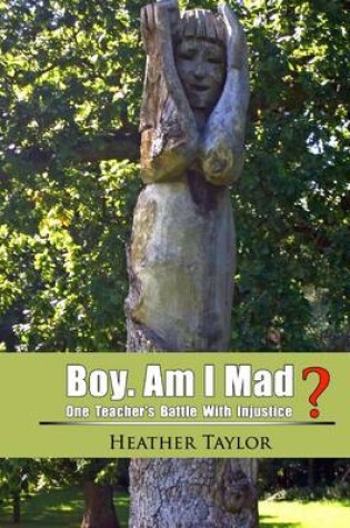 Cover of Boy. Am I Mad?: One Teacher's Battle with Injustice