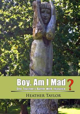 Book cover for Boy. Am I Mad?: One Teacher's Battle with Injustice