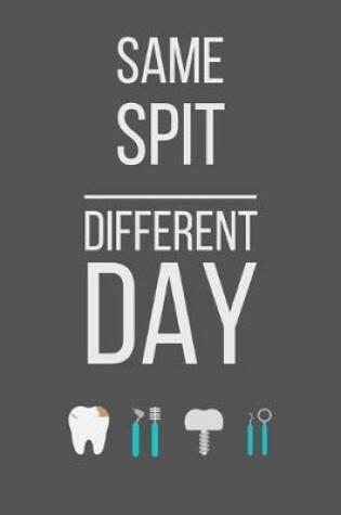 Cover of Same Spit Different Day