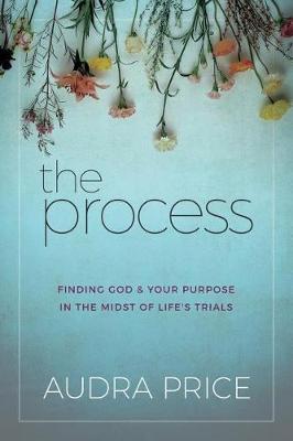 Book cover for The Process