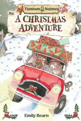 Book cover for Tumtum & Nutmeg's Christmas Adventure