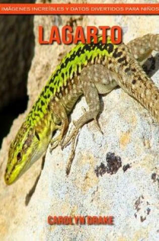 Cover of Lagarto