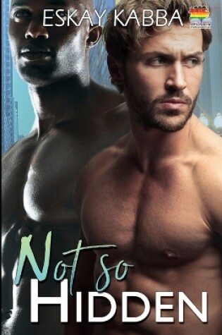 Cover of Not So Hidden