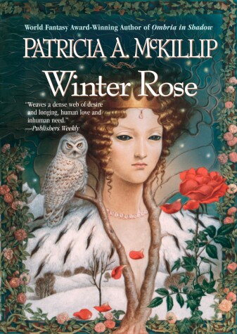 Book cover for Winter Rose