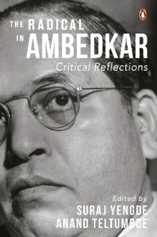 Cover of The Radical in Ambedkar