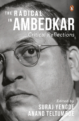 Cover of The Radical in Ambedkar