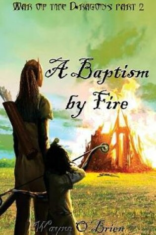 Cover of A Baptism by Fire