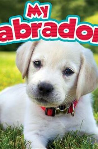 Cover of My Labrador