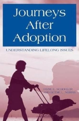 Book cover for Journeys After Adoption