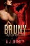 Book cover for Bruny