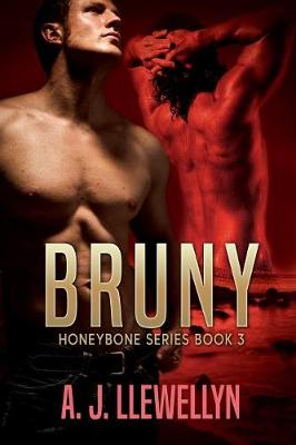 Book cover for Bruny