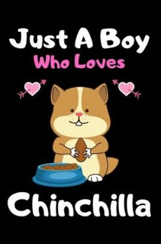 Cover of Just a boy who loves chinchilla