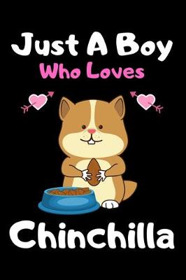 Book cover for Just a boy who loves chinchilla