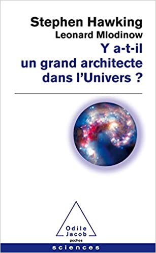 Book cover for Y a-t'il un grand architecte dans l'univers