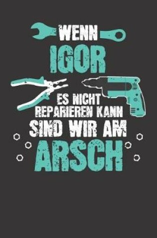 Cover of Wenn IGOR es nicht reparieren kann