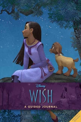 Book cover for Disney Wish: A Guided Wishing Journal