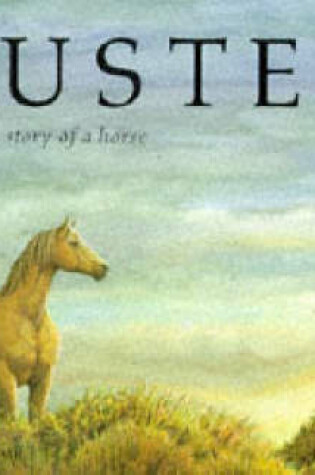 Cover of Custer