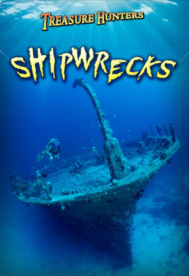 Book cover for Shipwrecks