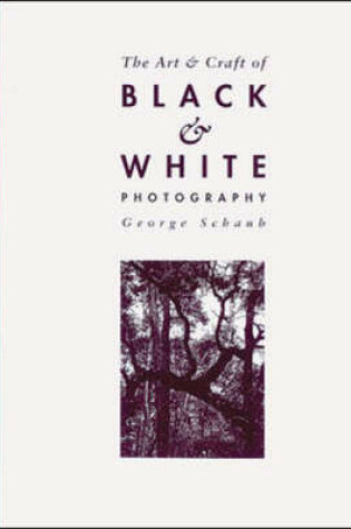 Cover of Art and Craft of Black and White Photography