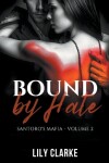 Book cover for Bound by Hate