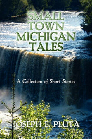 Cover of Small Town Michigan Tales