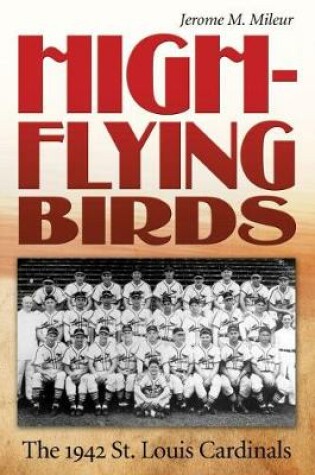 Cover of High-Flying Birds