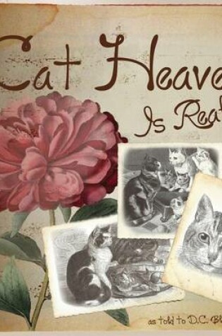 Cover of Cat Heaven Is Real