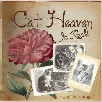 Book cover for Cat Heaven Is Real