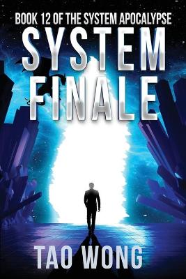 Book cover for System Finale