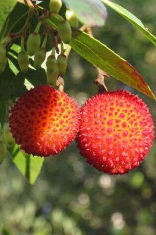 Cover of Arbutus Unedo Strawberry Tree Fruit