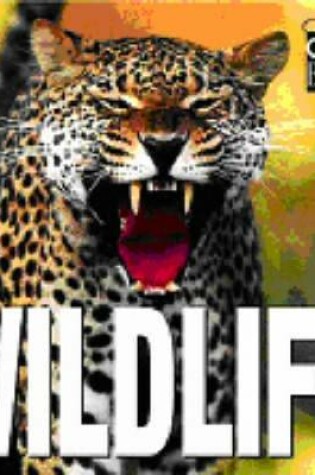 Cover of Wildlife