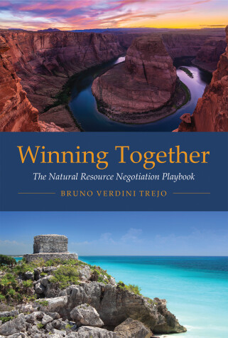 Book cover for Winning Together