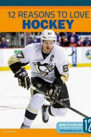 Cover of 12 Reasons to Love Hockey