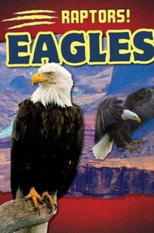 Cover of Eagles