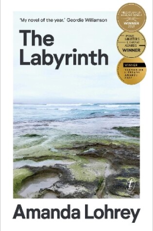 Cover of The Labyrinth: Winner of the 2021 Miles Franklin Literary Award