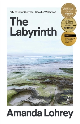 Book cover for The Labyrinth: Winner of the 2021 Miles Franklin Literary Award