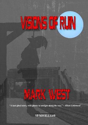 Book cover for Visions of Ruin