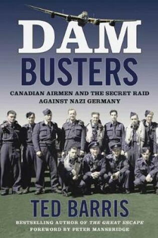 Cover of Dam Busters