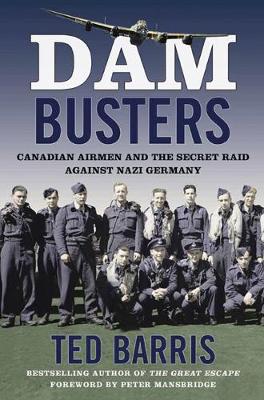 Book cover for Dam Busters