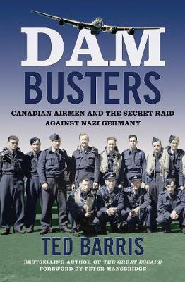 Book cover for Dam Busters