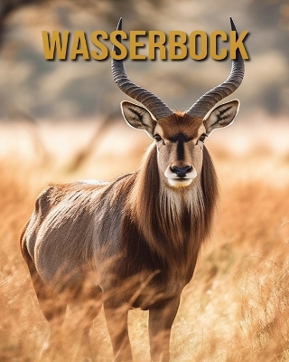 Book cover for Wasserbock