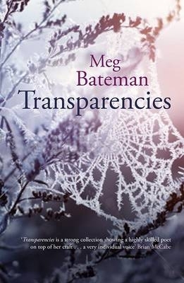 Book cover for Transparencies